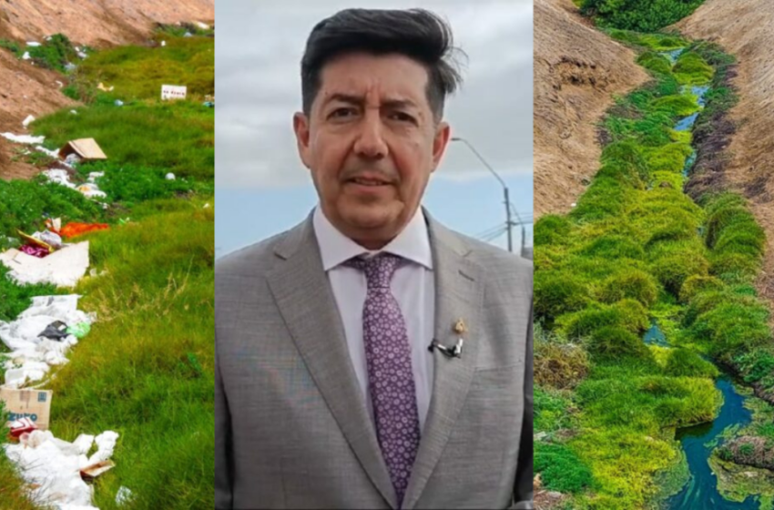  “La Municipalidad nunca ha limpiado”: Desmienten dichos de alcalde de Antofagasta sobre las gestiones en el sector del Humedal La Chimba